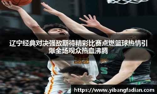 XCsports网页登录