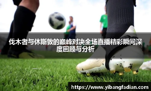 XCsports网页登录